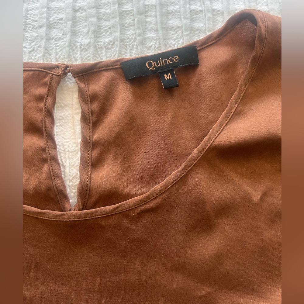Quince Brown Blouse